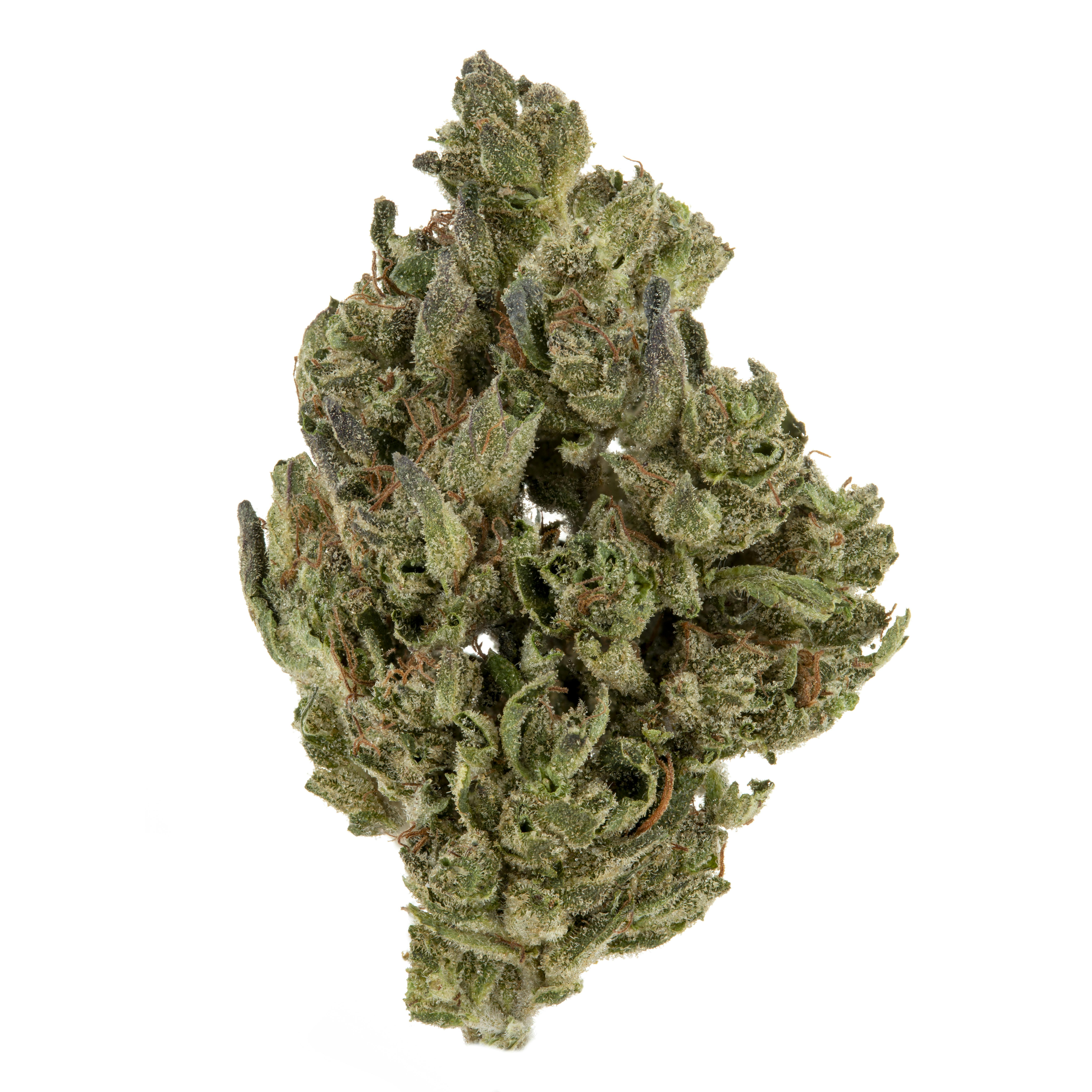 OG Kush - image 2