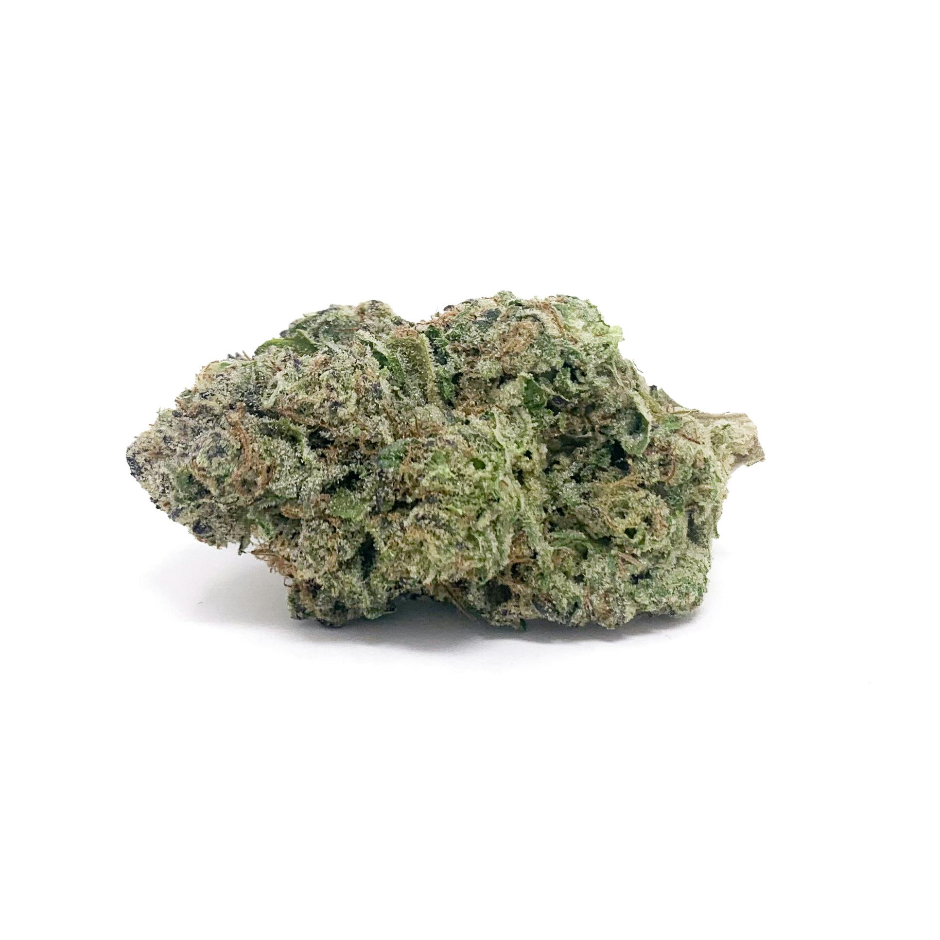 3.5g Jar- Chocolate Thai - image 3