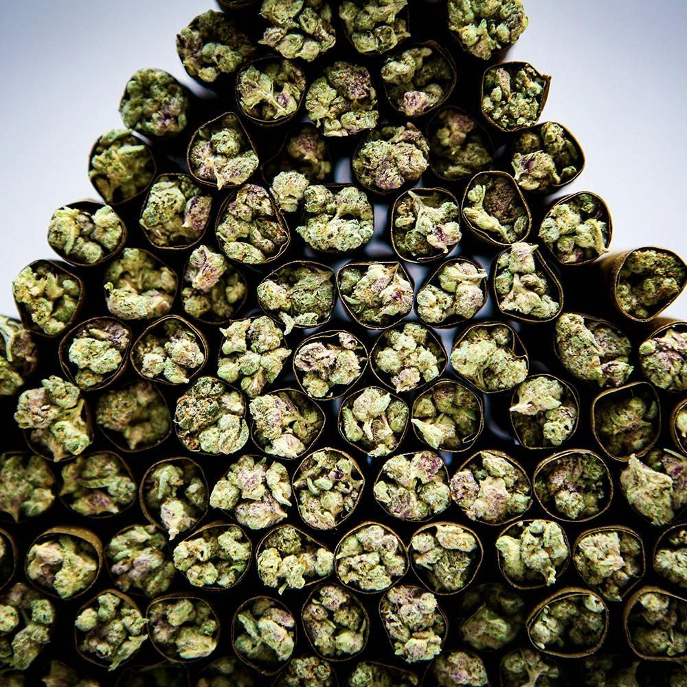 El Blunto - Skywalker OG - 1.75G Cannabis Cigar [Blunt] - image 4