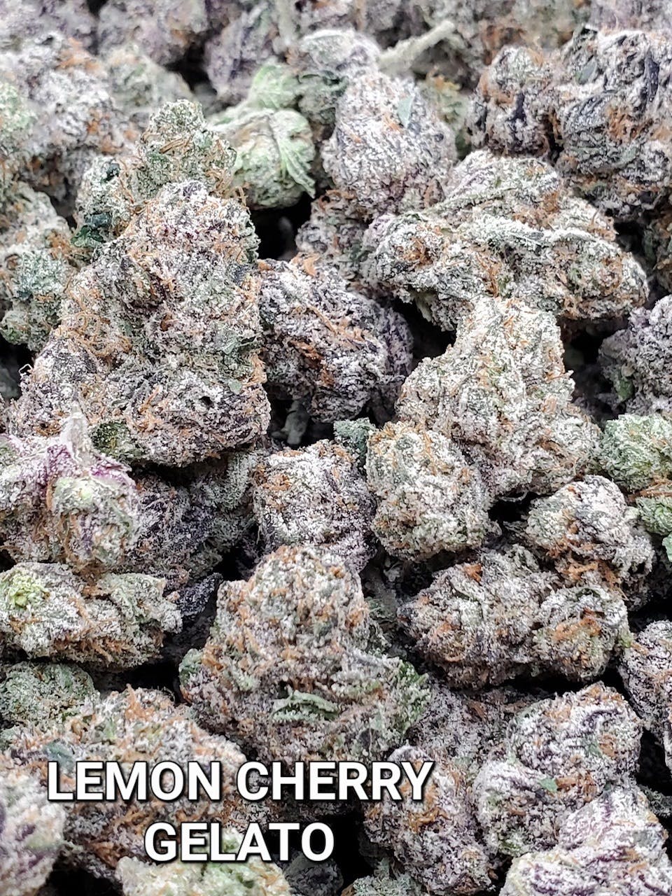 Lemon Cherry Gelato - image 1