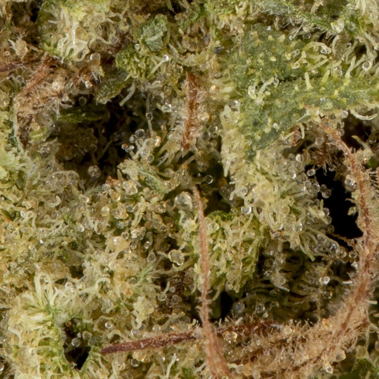 Limonada - image 2