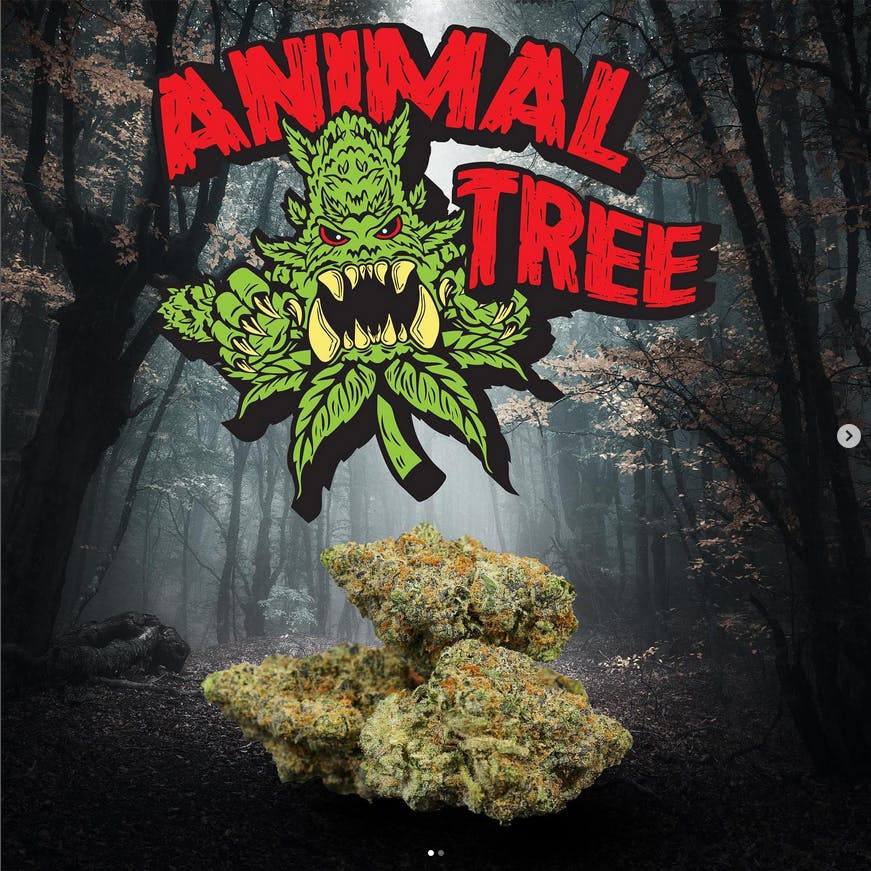 Redeye Cannabis: Animal Tree 7gram nuggets - image 1