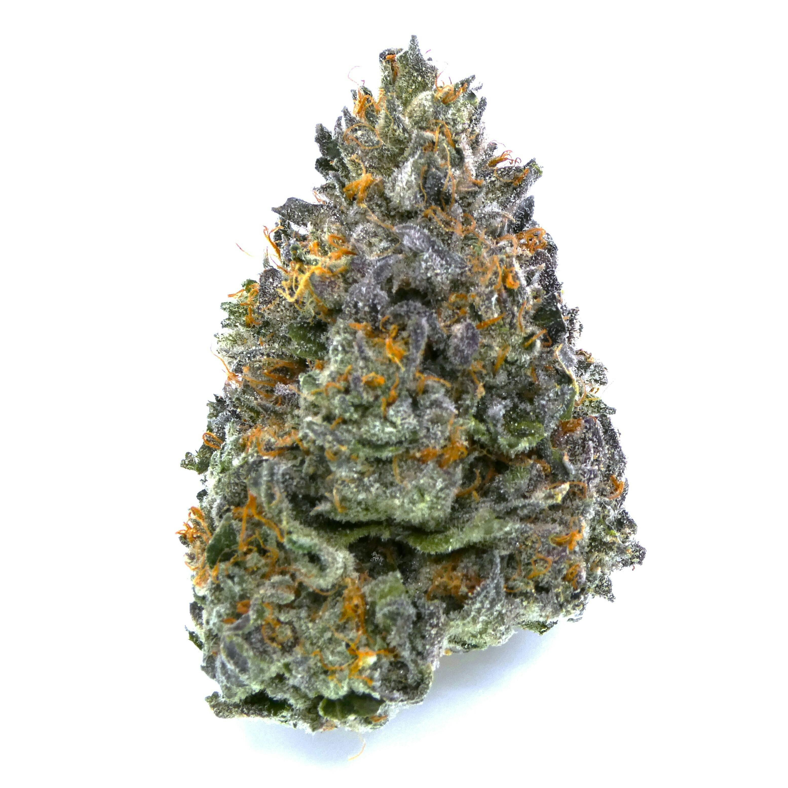 Tongue Splasher Buds - image 1