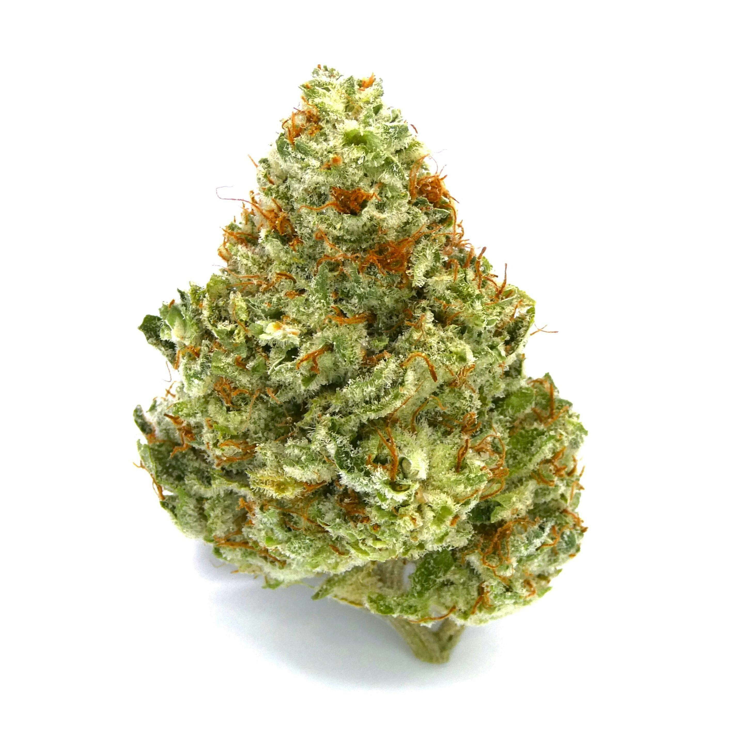 Papaya Cookies Buds - image 1