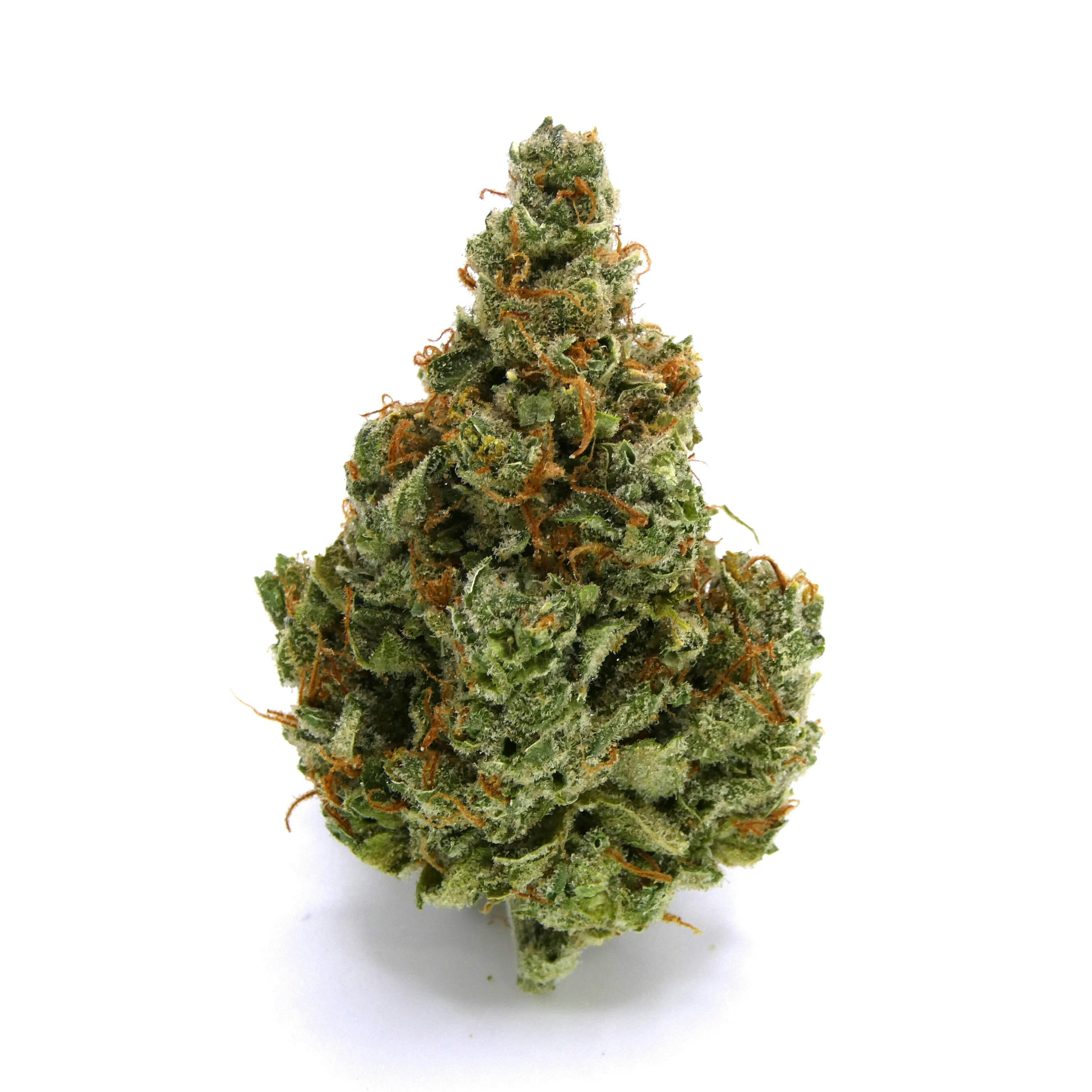 Memory Loss Buds - image 1