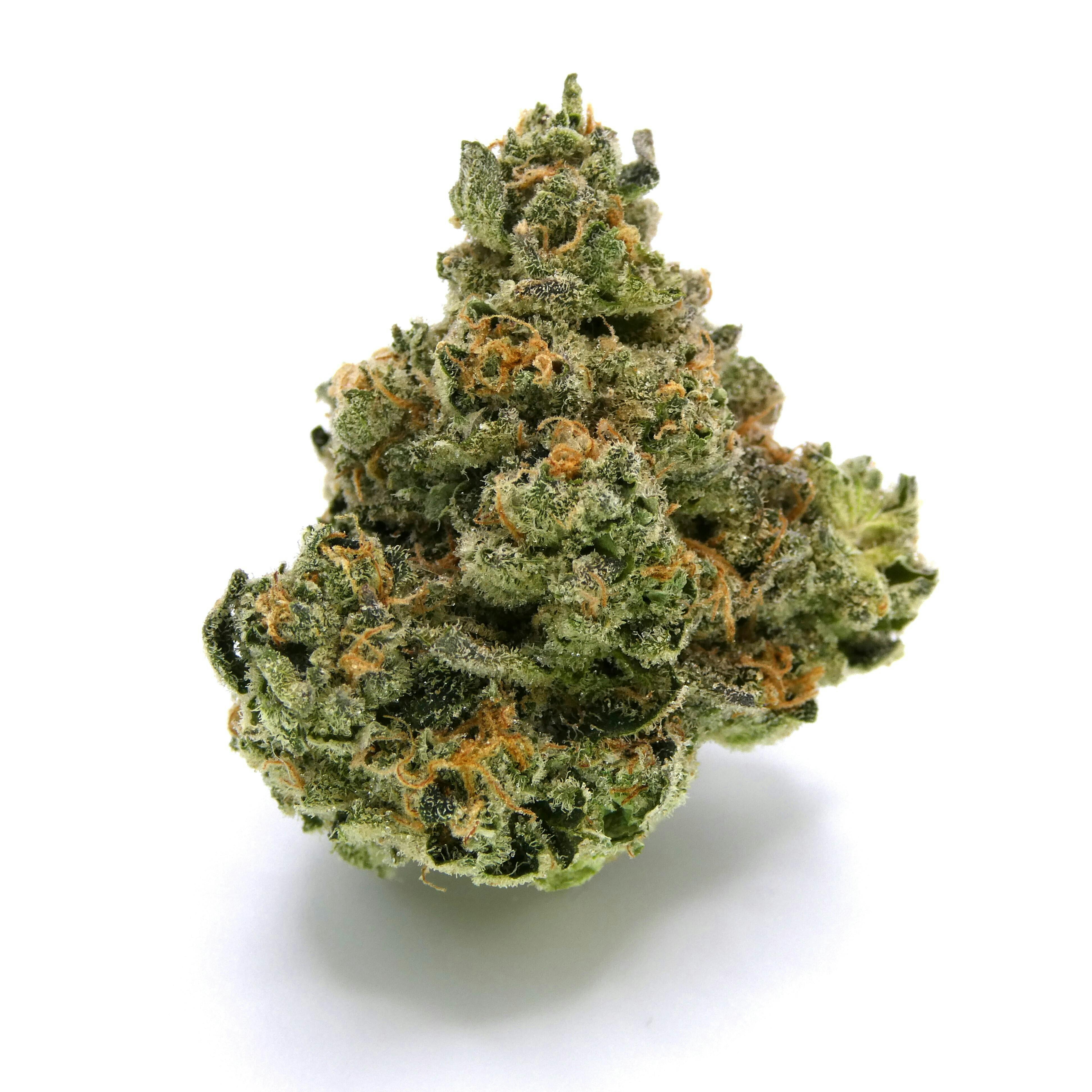 Tangie RNTZ Buds - image 1