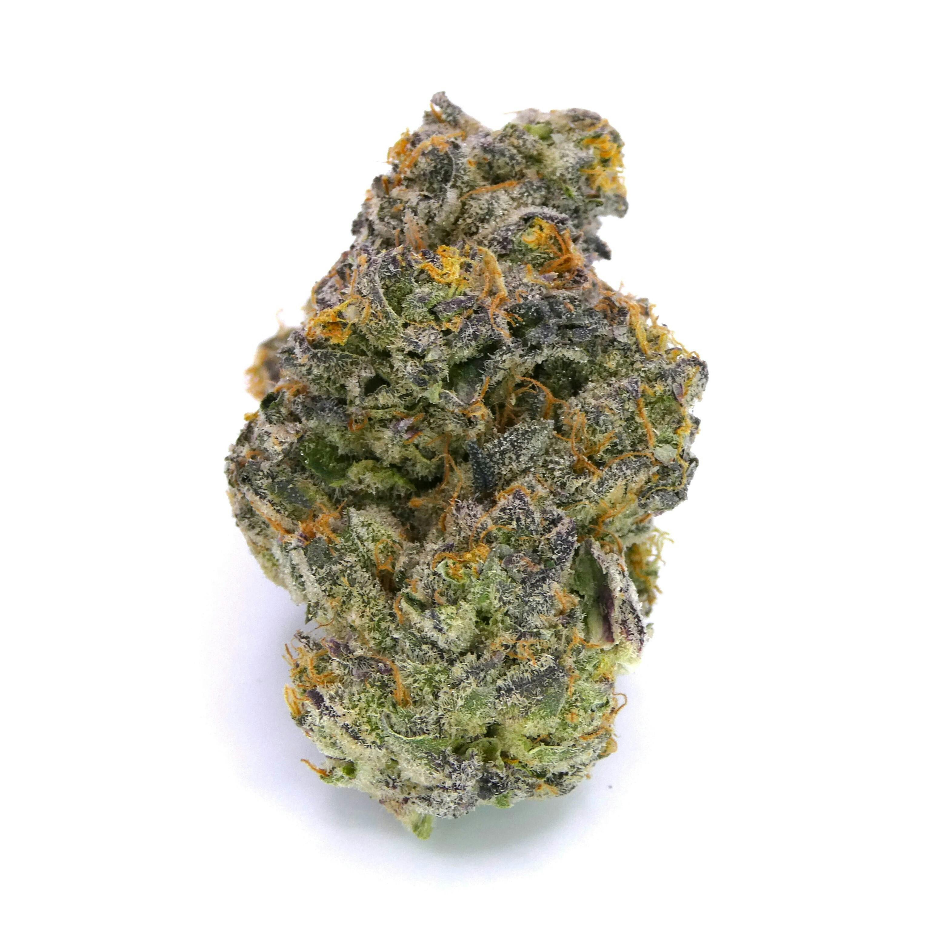Jiffy Sherbert Buds - image 1