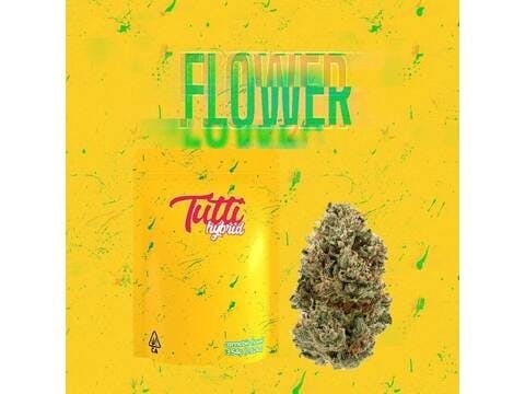 Orange Creamsicle - Flower - 1/8th - image 1