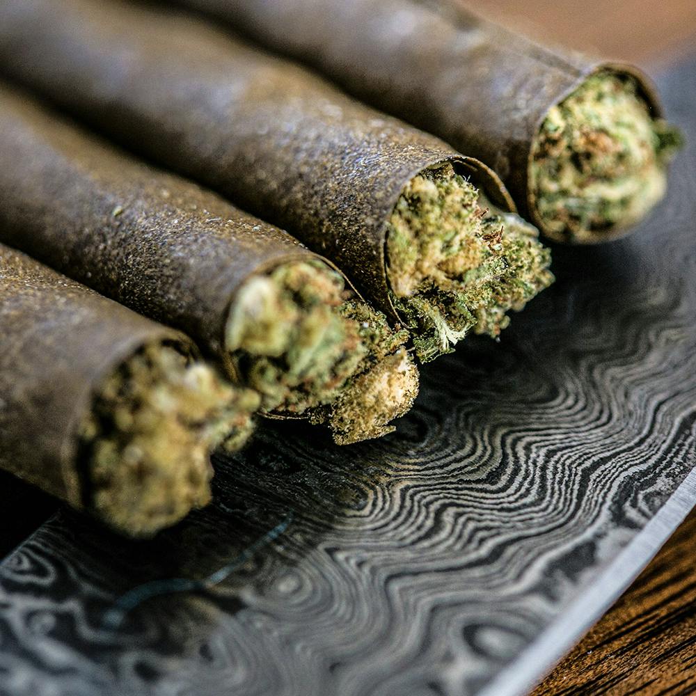 El Bluntito - 4-Pack - Papaya Cake - 4 x .75G [Mini Blunt] - image 3