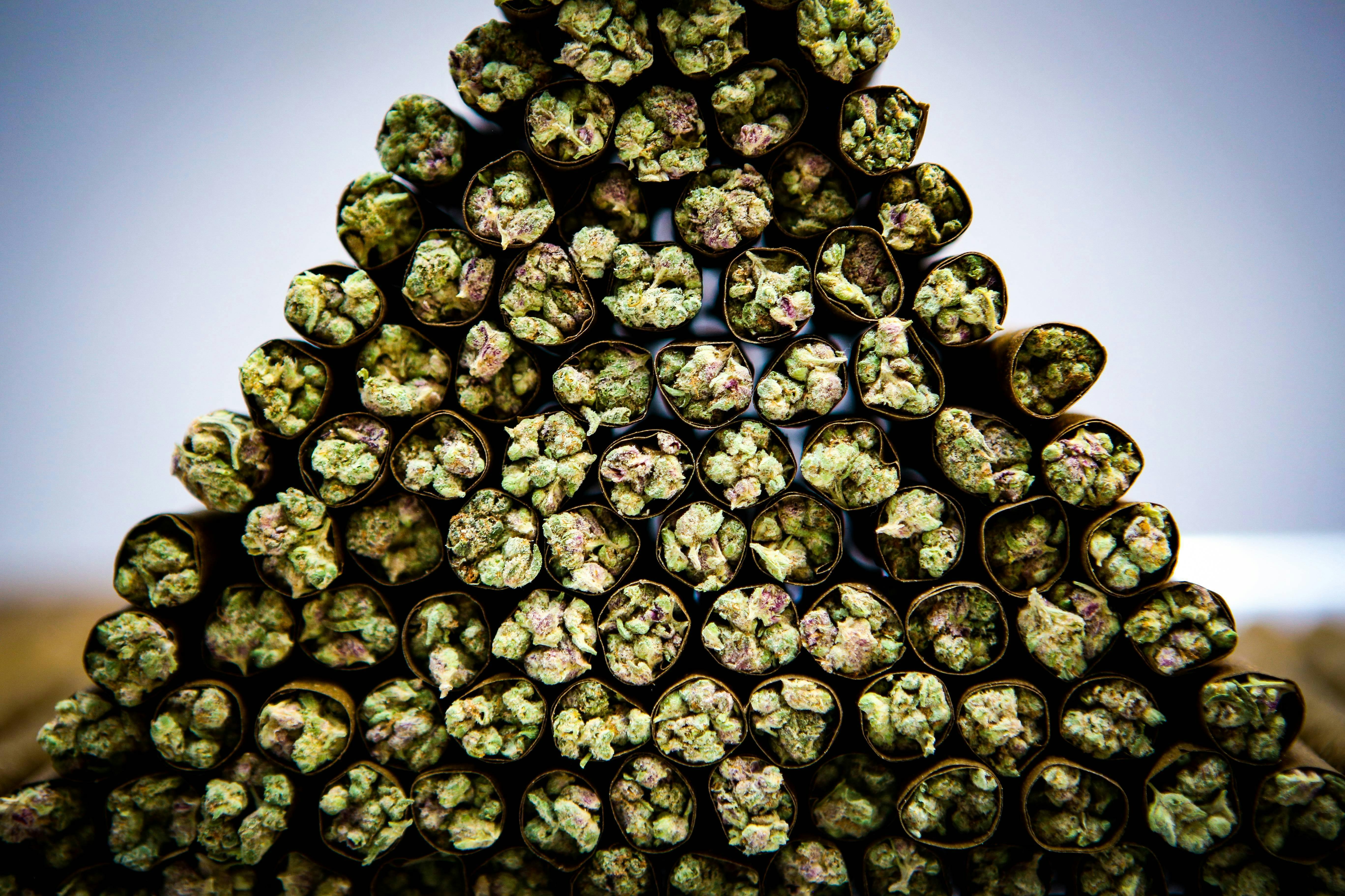 El Bluntito - 4-Pack - Sour Cupcake #2 - 4 x .75G [Mini Blunt] - image 4