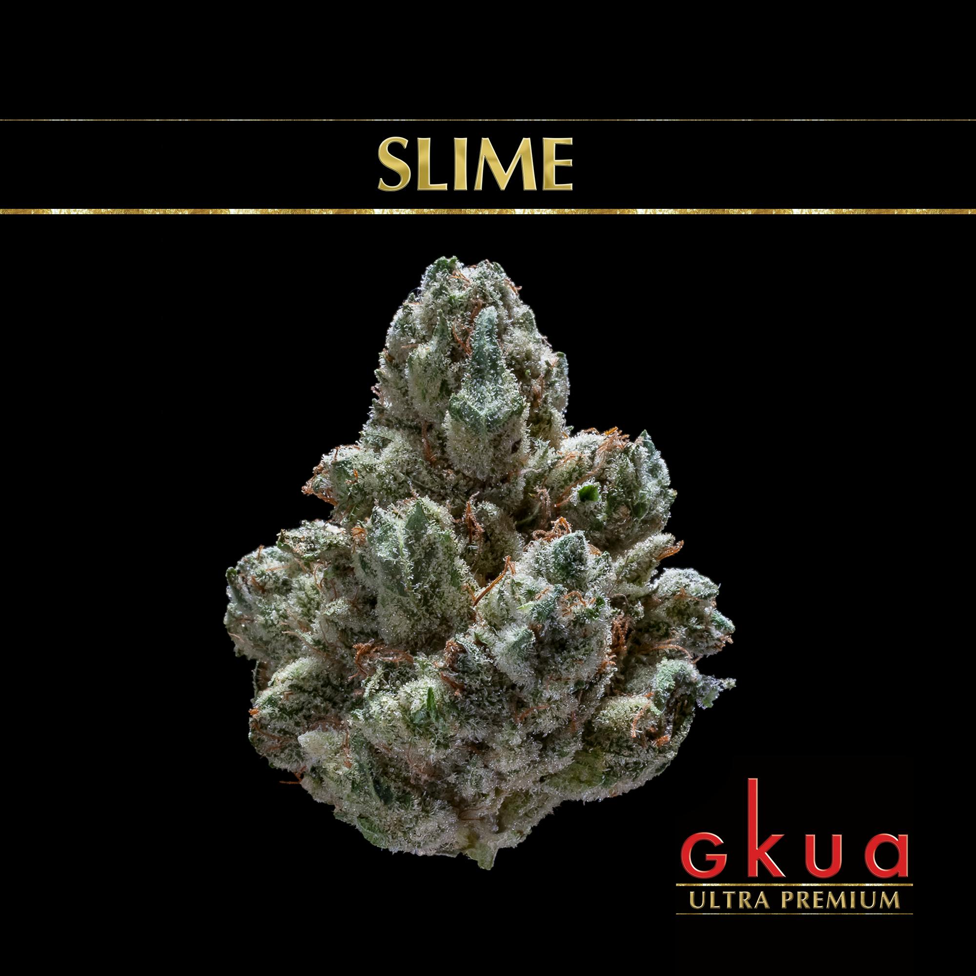 Slime - image 1