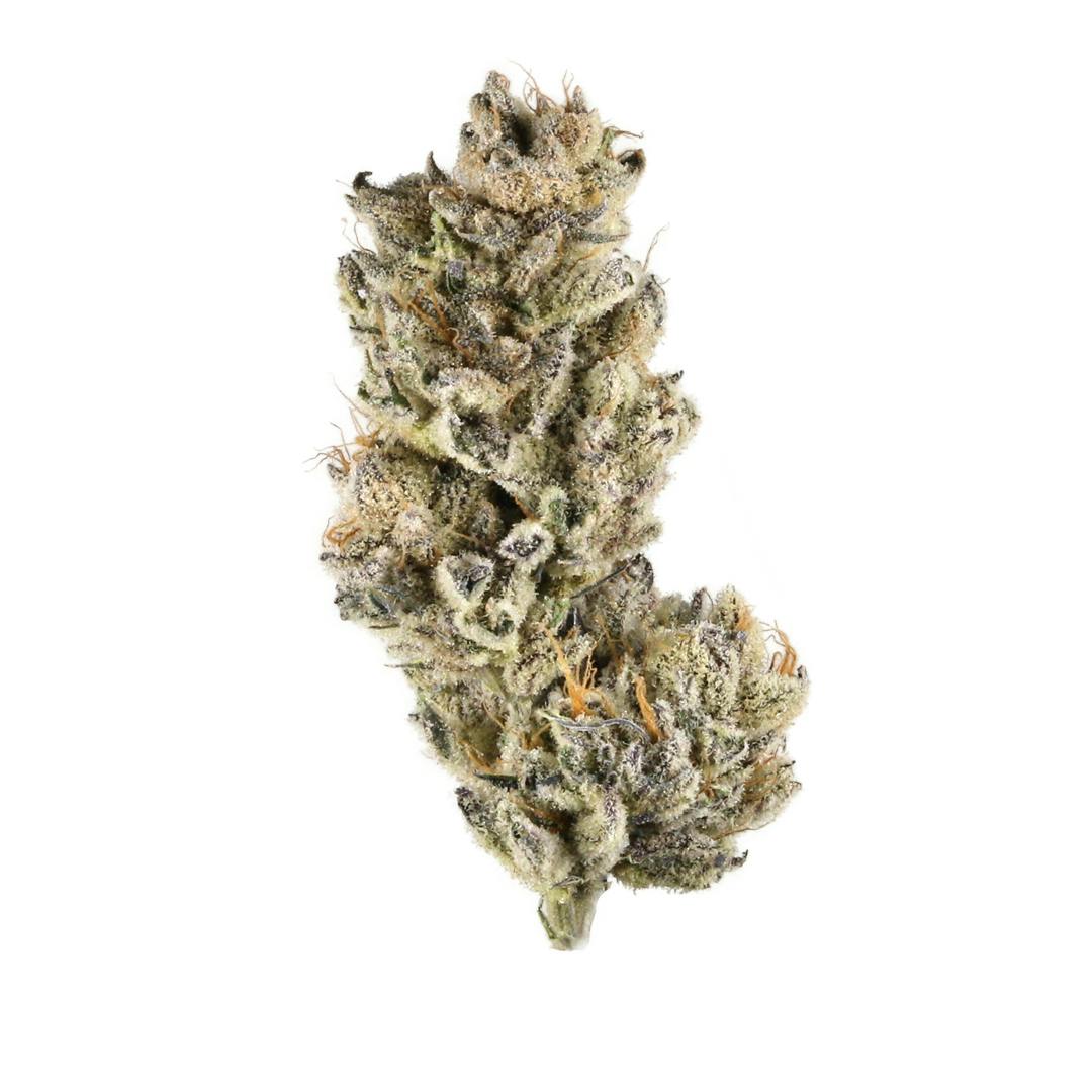 Purple Punch (MID-SHELF) - image 1