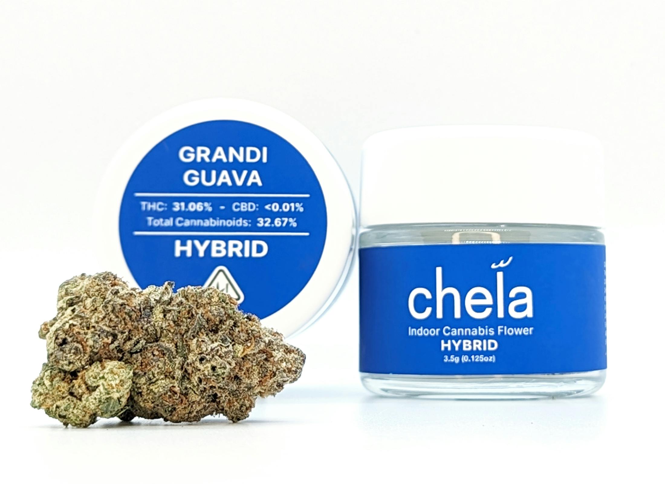 Chela - Indoor - Grandi Guava - image 1