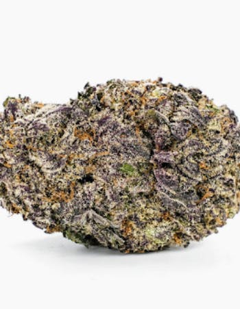 Black Mamba (TOP-SHELF) - image 1
