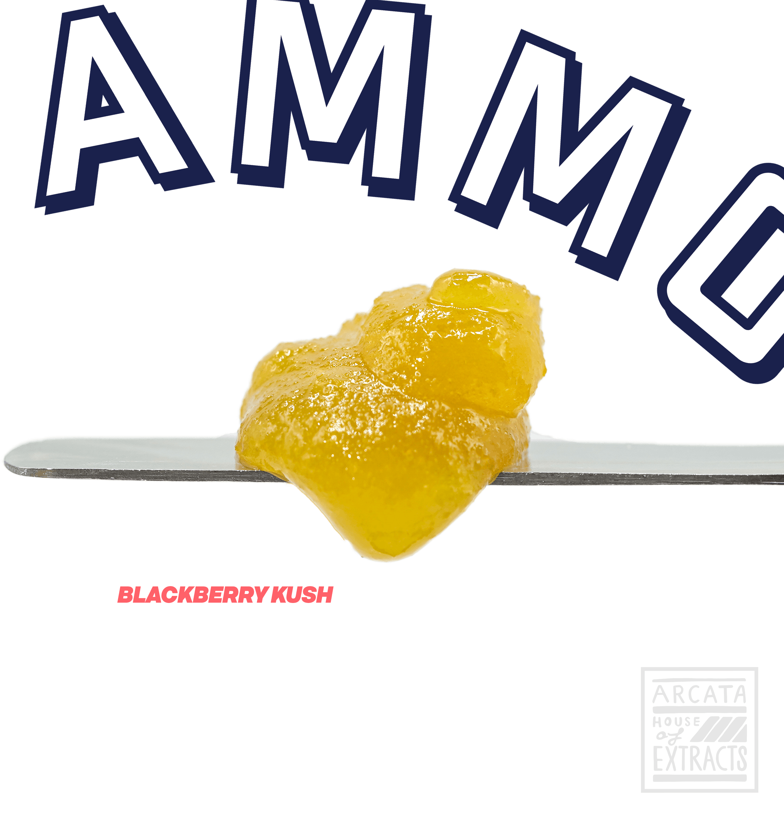 Blackberry Kush - Loaded Live™ Resin (1 g) - image 1