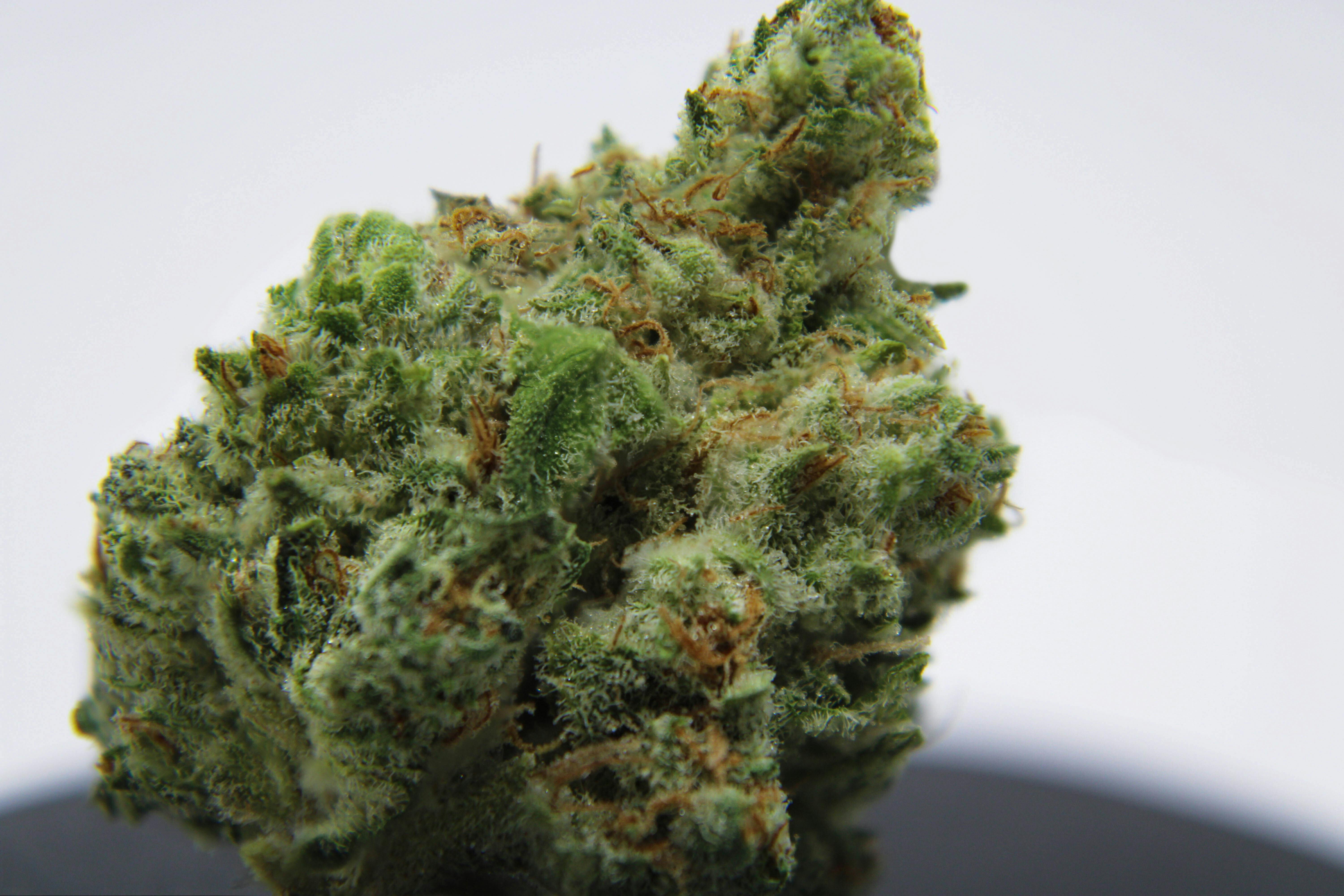 Narvona Black | Jelly Cake Prerolls - image 1