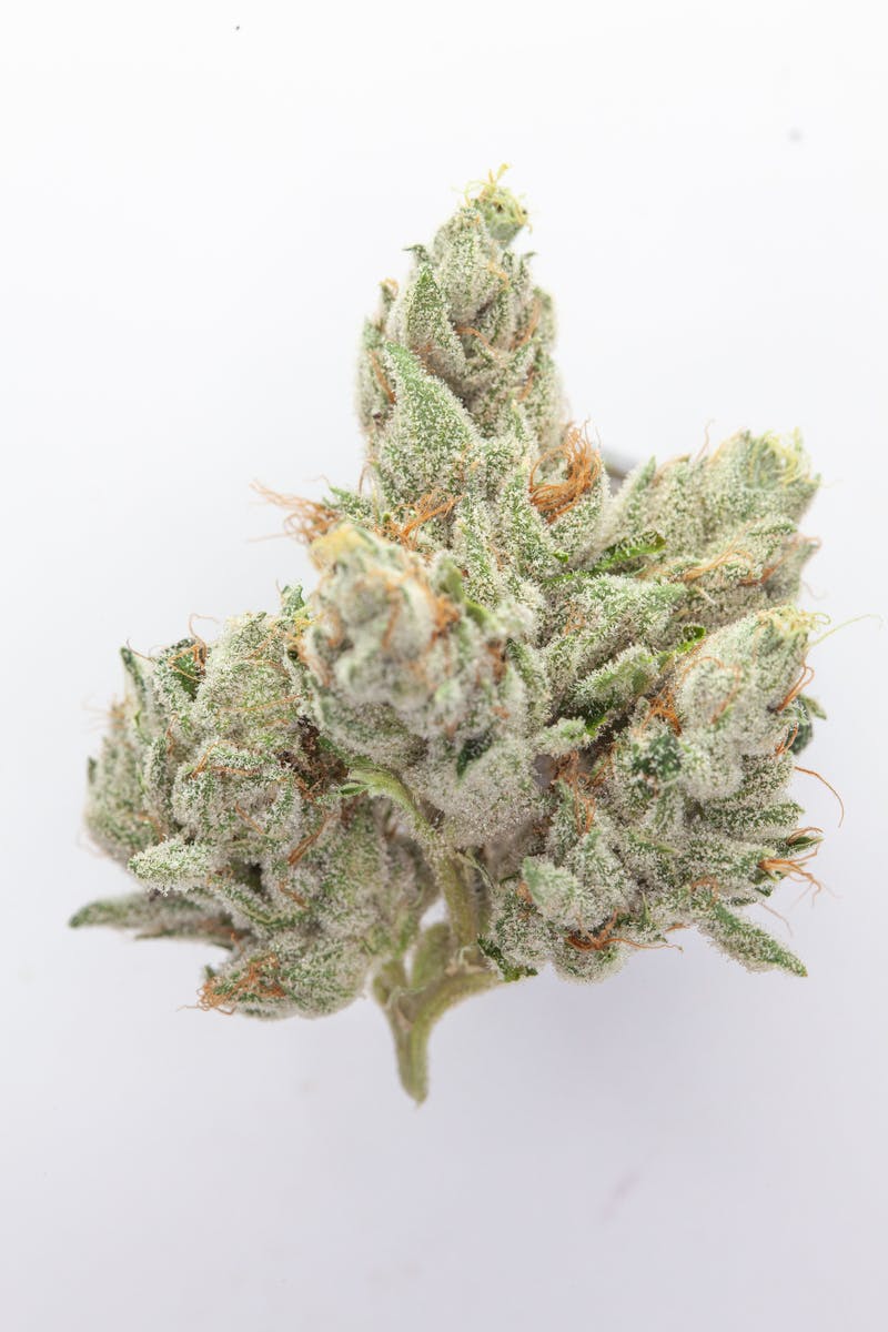 1g Full Flower Preroll | Casper OG - image 1