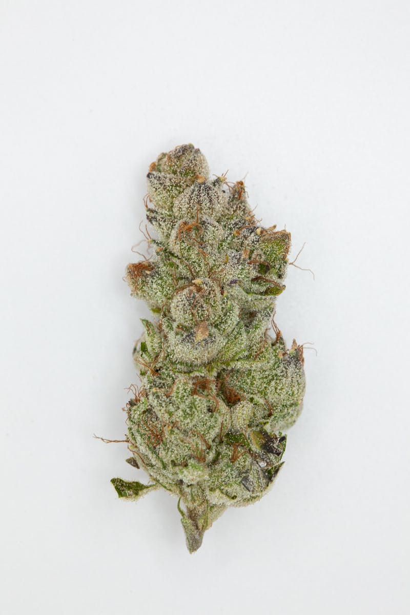 1g Full Flower Preroll | Cotton Candy - image 1