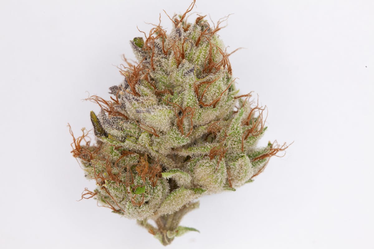 1g Full Flower Preroll | Garlic Bread - image 1