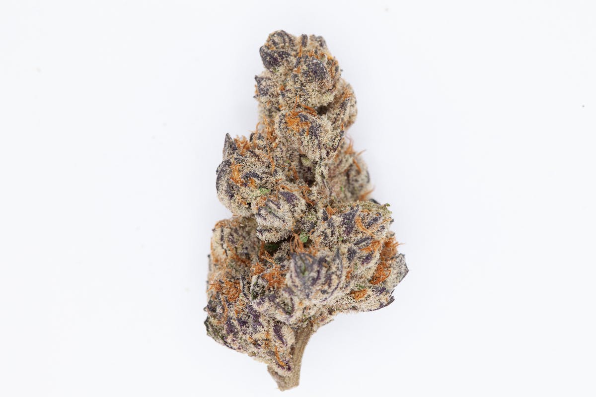 1g Full Flower Preroll | Giovanni Battista Bugatti - image 1