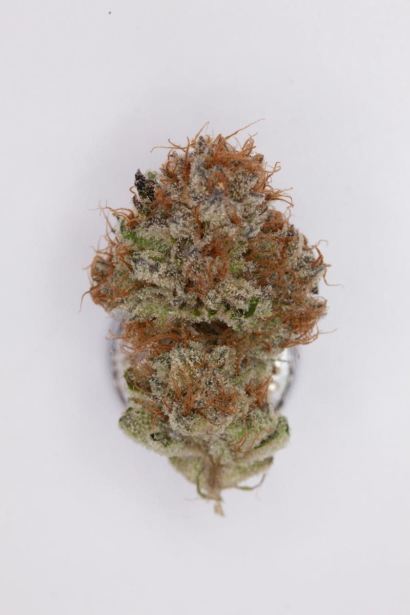 1g Full Flower Preroll | God's Gift - image 1