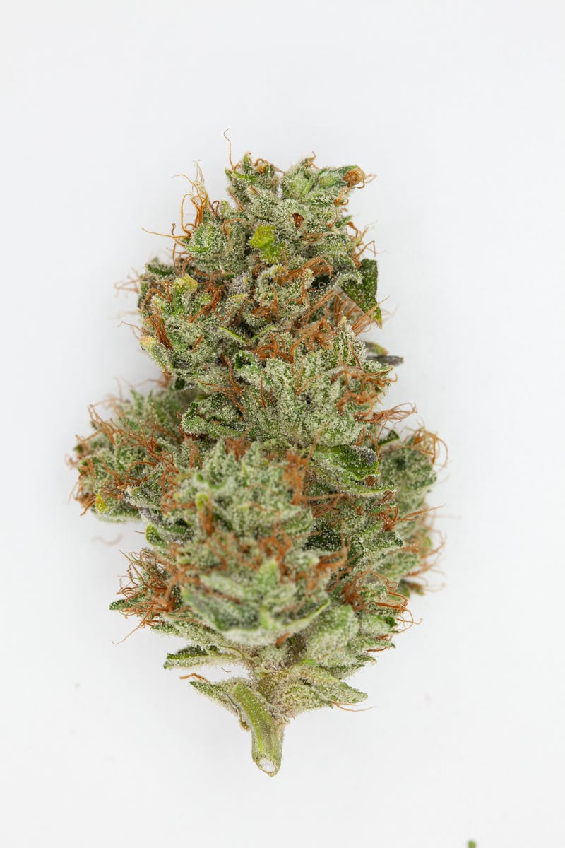 1g Full Flower Preroll | Ocean Water - image 1