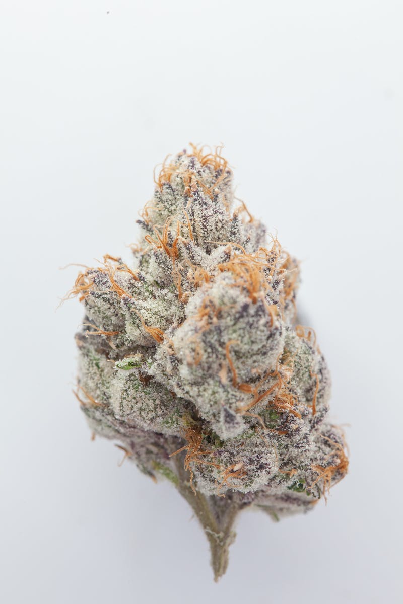 1g Full Flower Preroll | Runtz - image 1