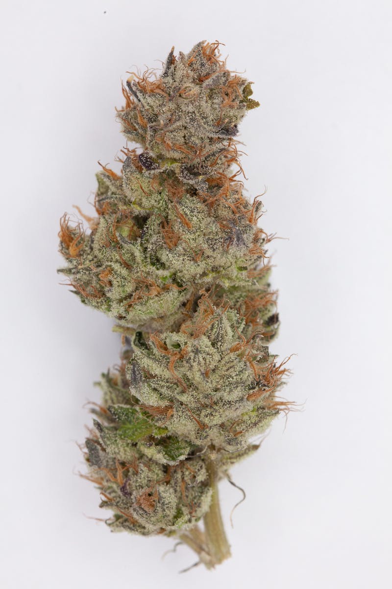 1g Full Flower Preroll | Yuzu Purple - image 1