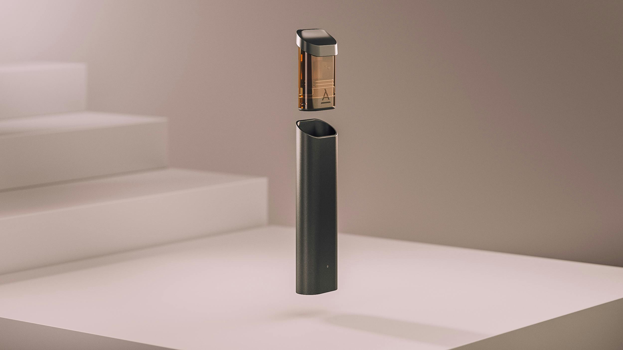 Fruit Cake - Airgraft pod - image 2