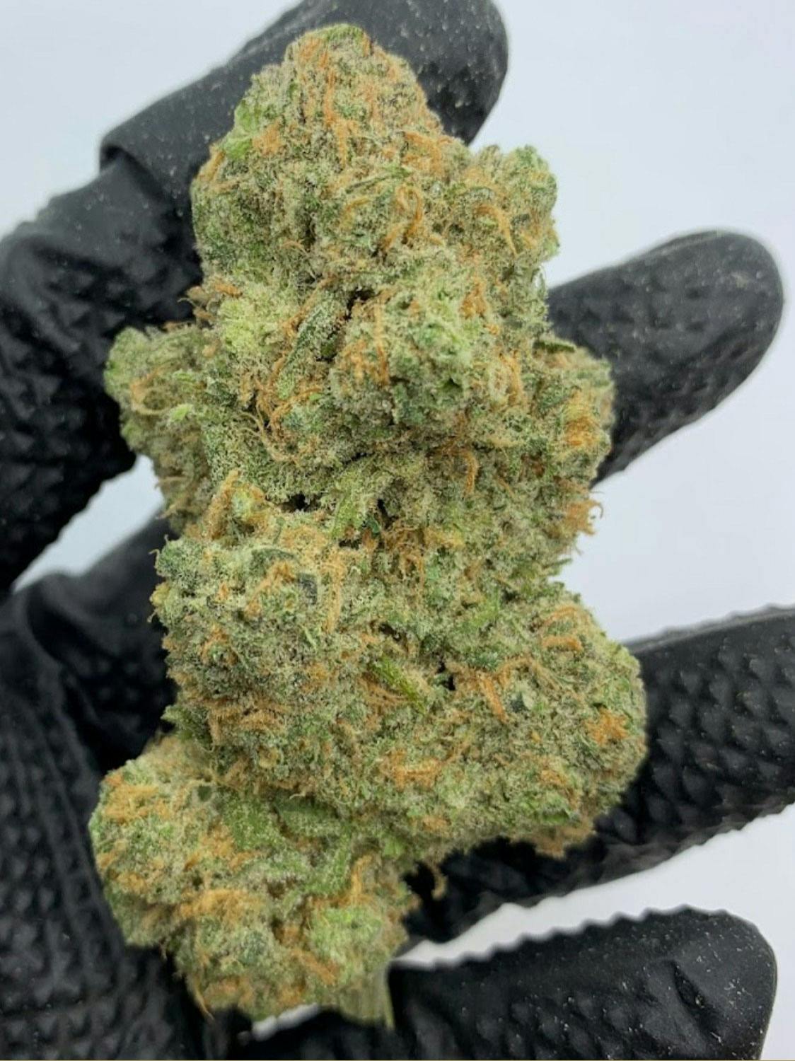 Blue Dream Flower - image 1