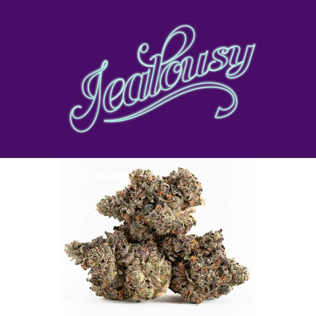Jealousy - image 1