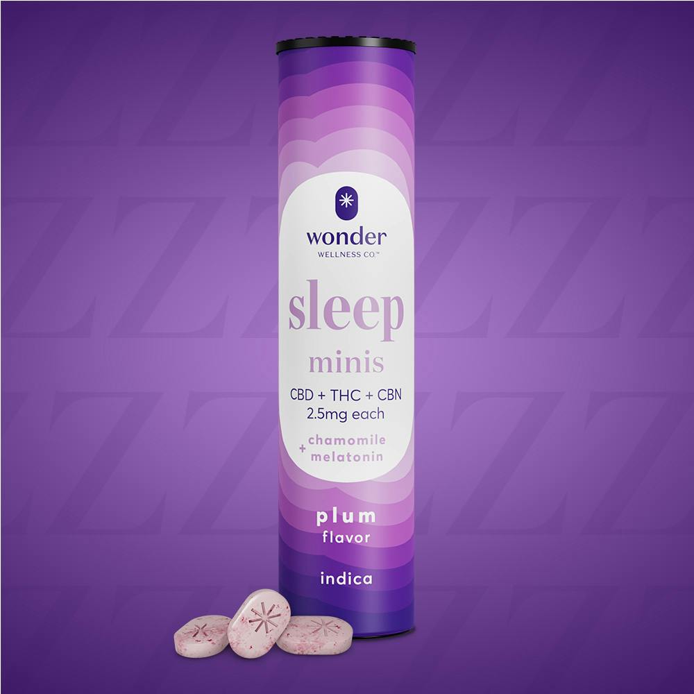 *Wonder Sleep Minis 1:2 (Plum) (40pk) (IL) - image 1