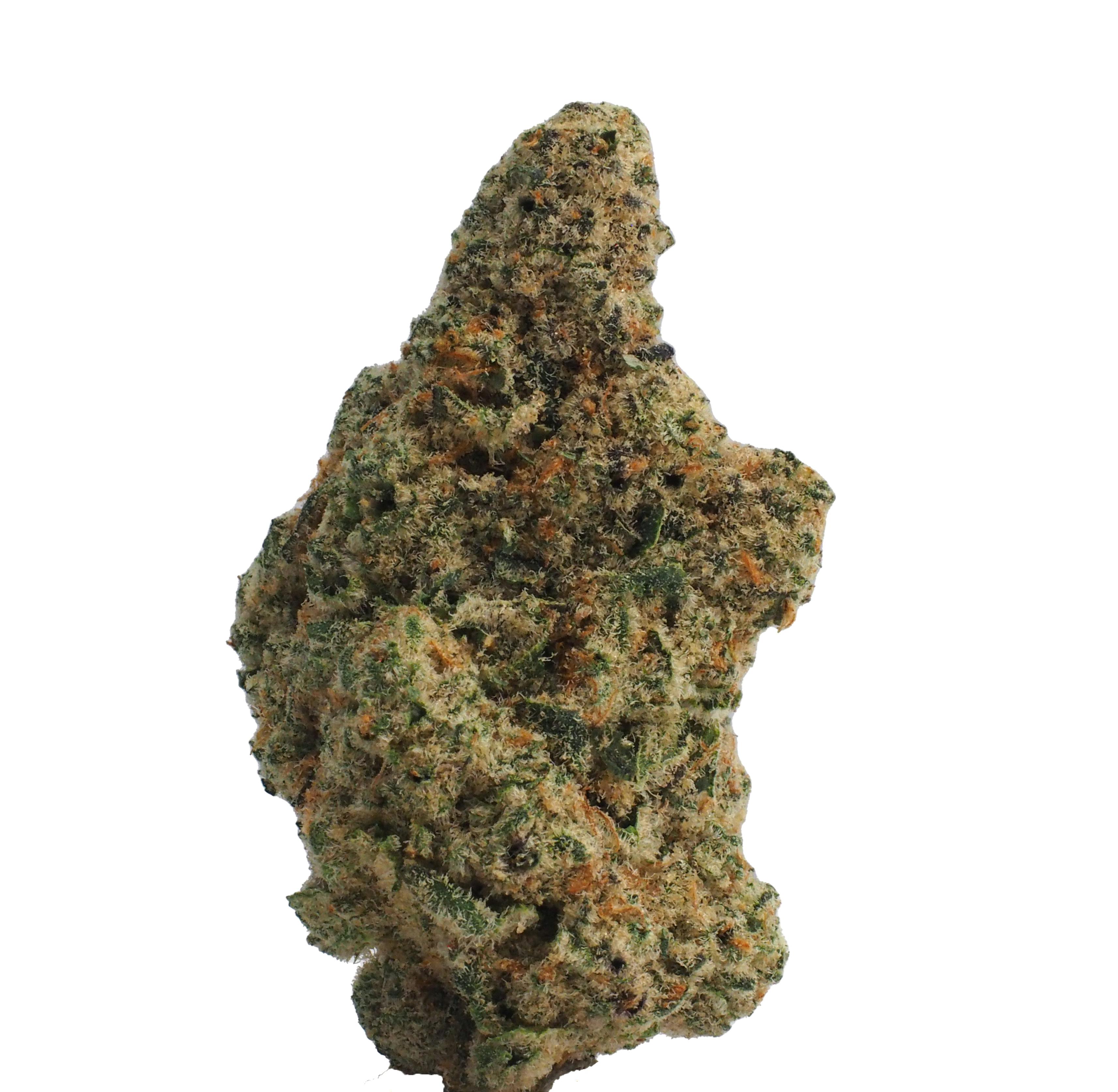 Paletaz Blunt (2g) - image 2