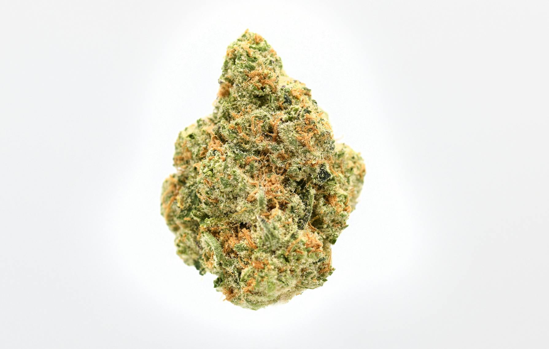 Rum Jungle 3.5g Flower - image 2
