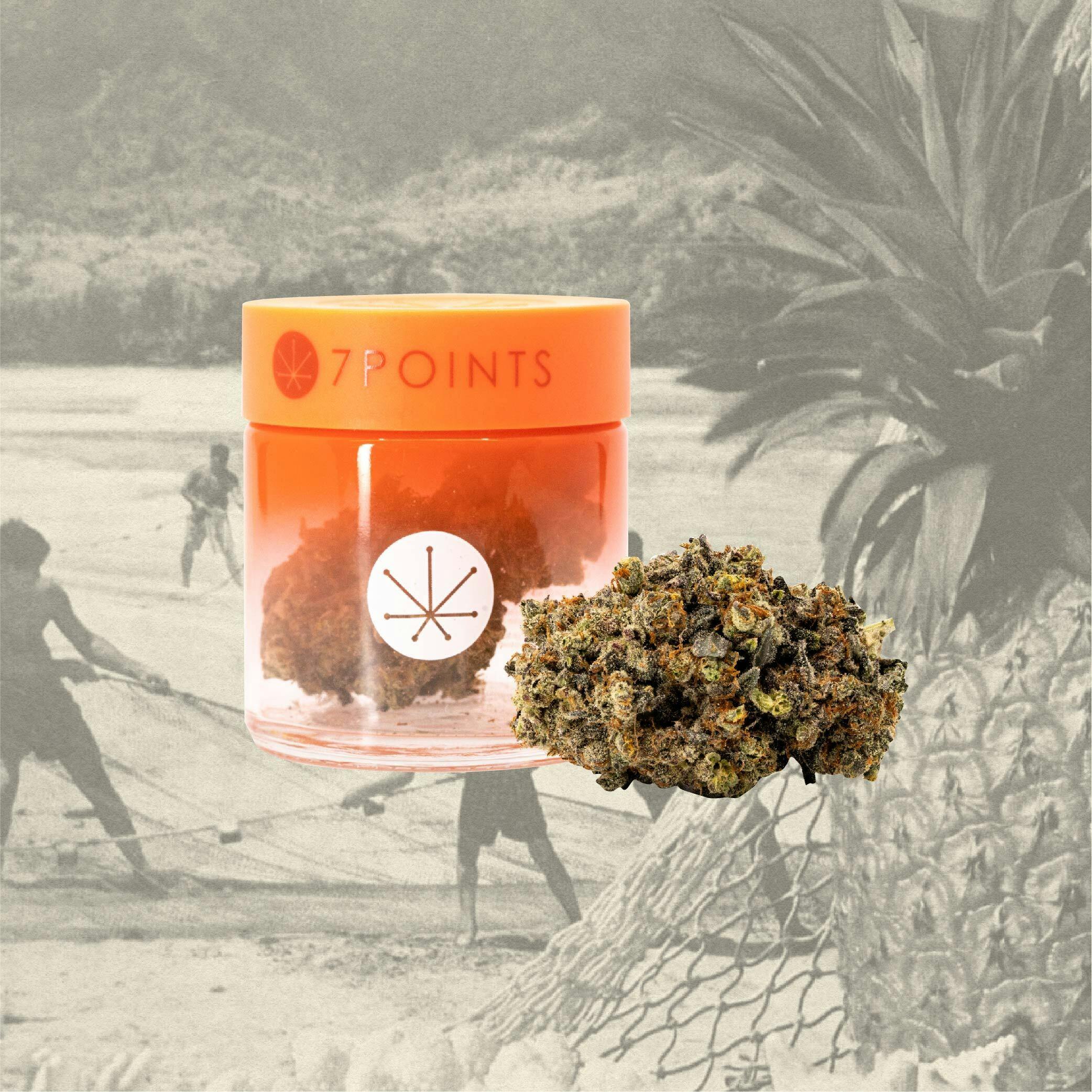 Pineapple Mac - 3.5g Bigs - image 1