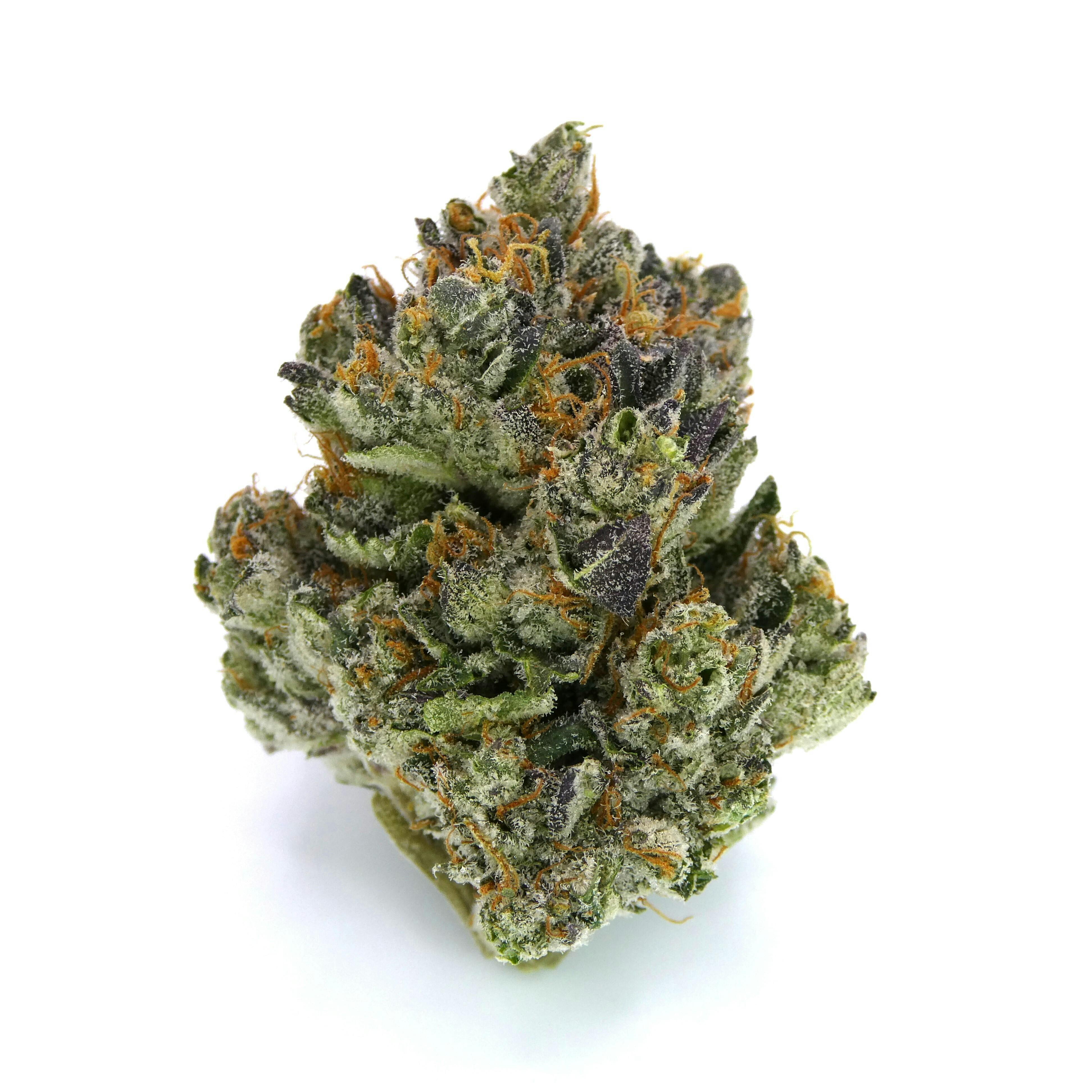 Farmer's Daughter Buds - image 1