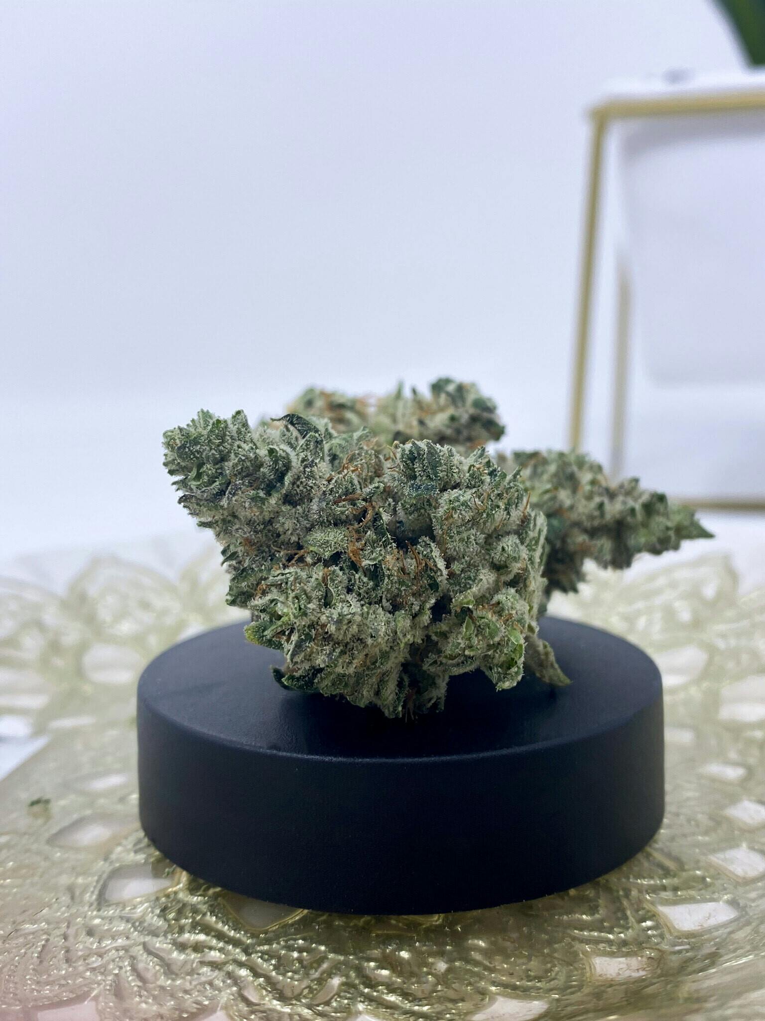 Narvona Black | Voodoo Glue Prerolls - image 2