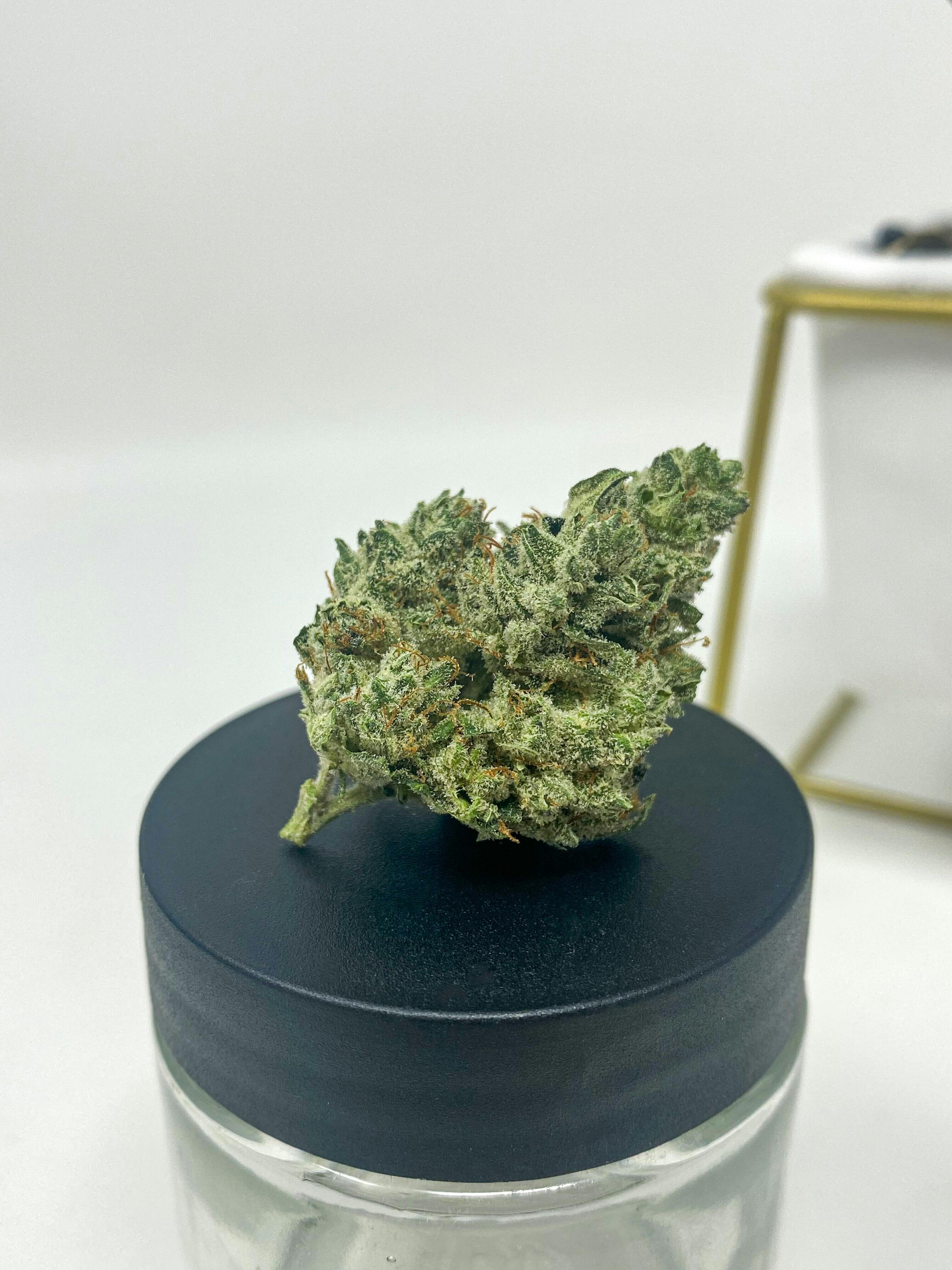 Narvona Black | Voodoo Glue Prerolls - image 1