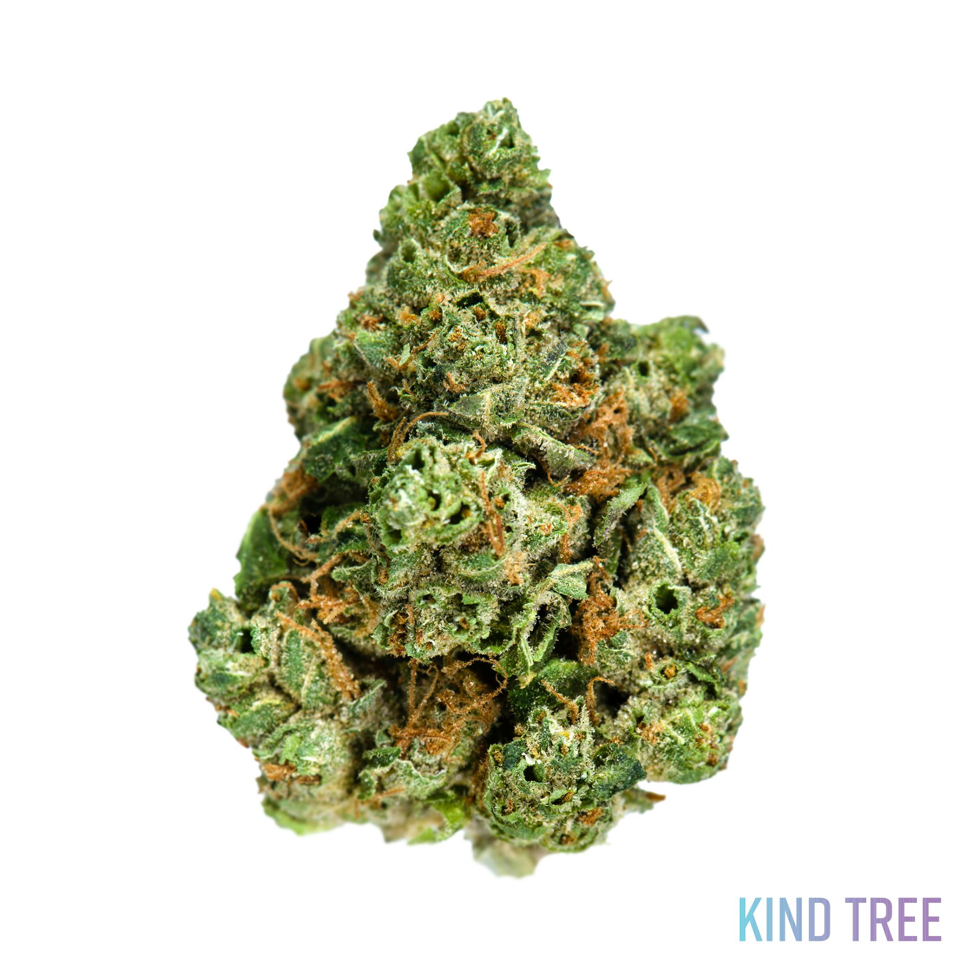 Alpine OG - image 1