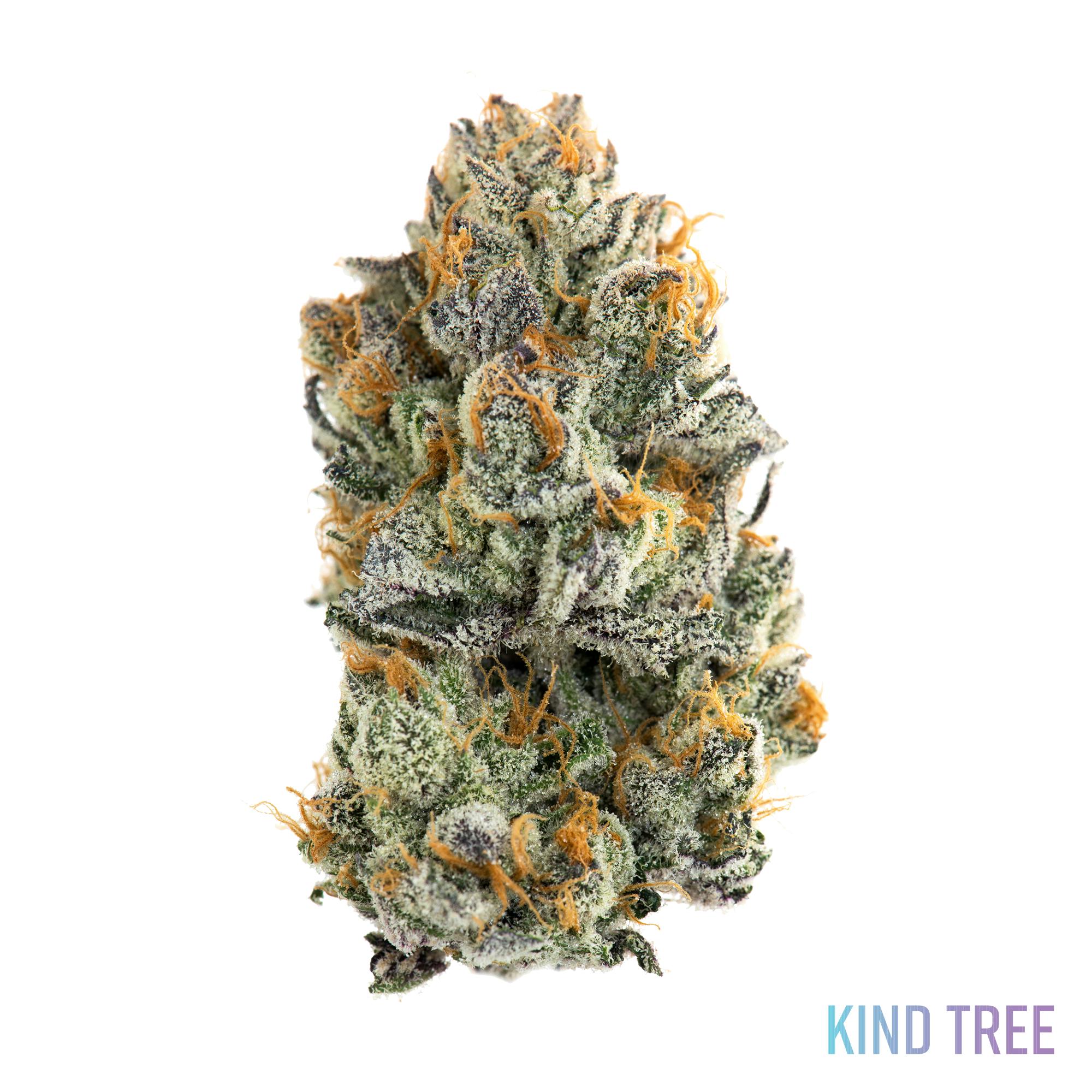 Frosted Melon Gelato - image 1