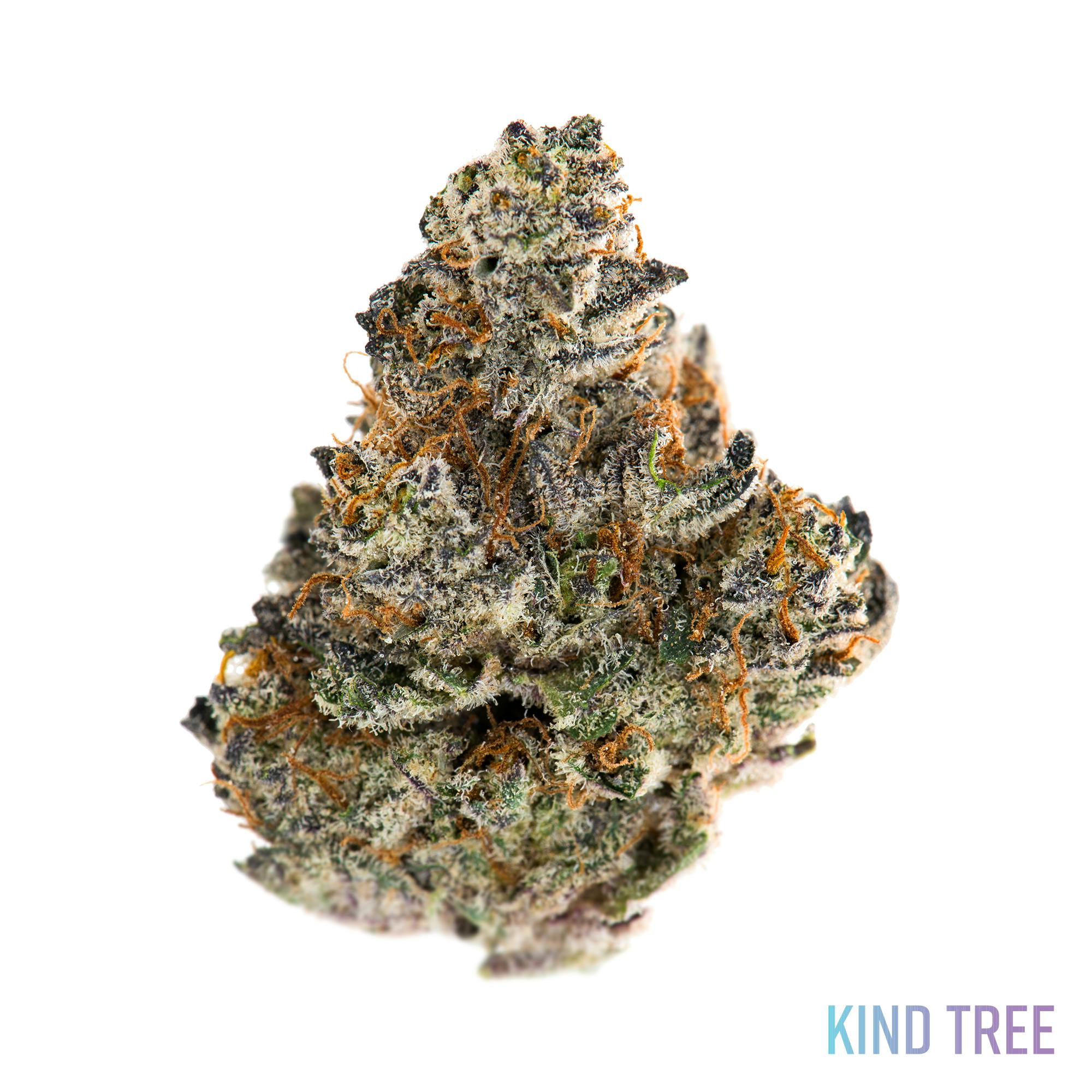 Grease Monkey - image 1