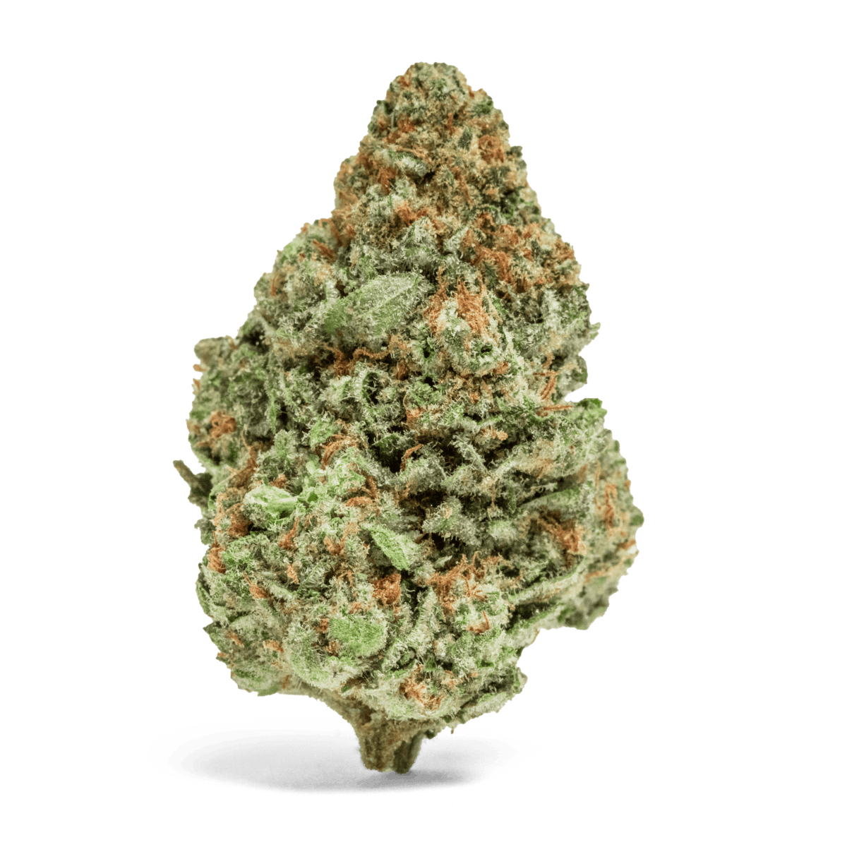 MR. ZIPS | Papaya Cake | 3.5g Flower - image 2