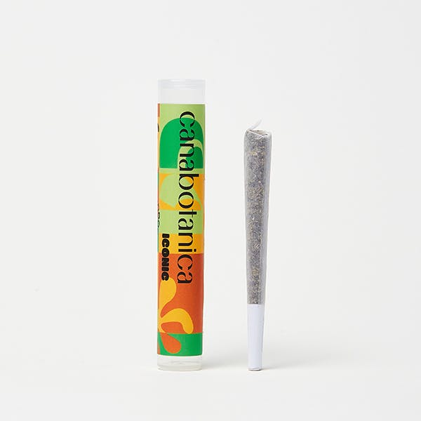 Canabotanica - Pre Roll - Sour Cream 1g - image 1