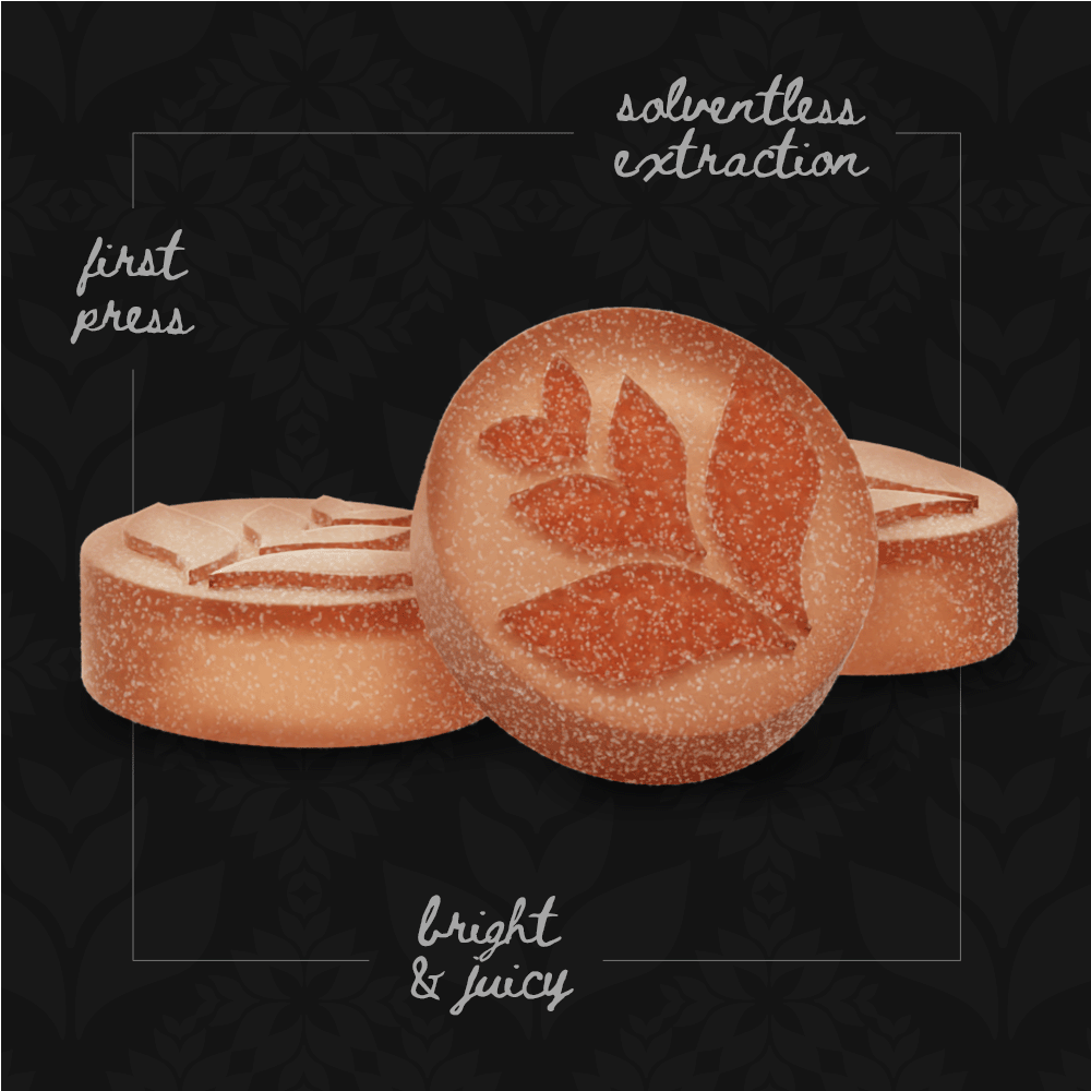 Tropical Punch | Hybrid Live Rosin Gummies 100mg [10pk] - image 2