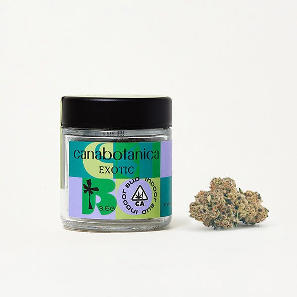 Canabotanica - Flower - Purple Cream 3.5g - image 1