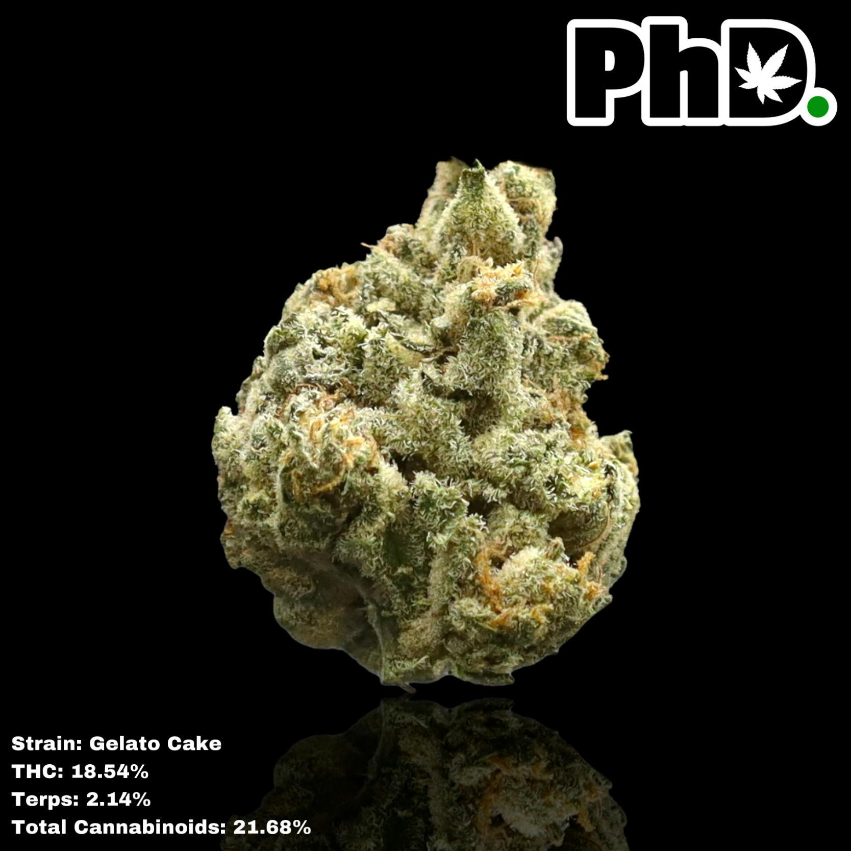 PhD Indoor Flower - Gelato Cake - image 1