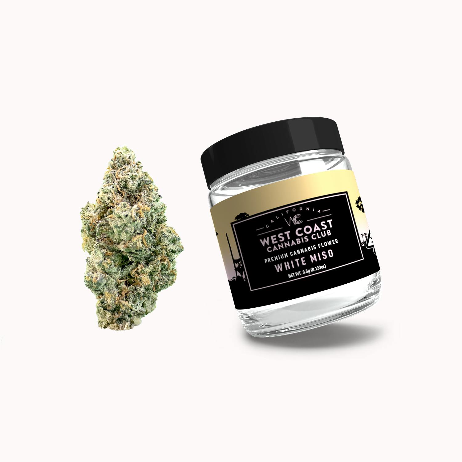 WCCC | White Miso - image 1
