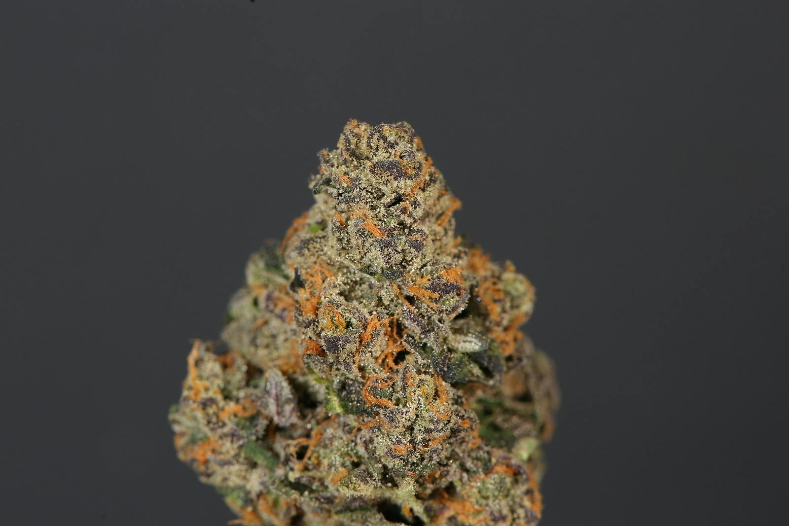 Redeye Cannabis: Apples & Bananas Pre-roll 1g - image 1
