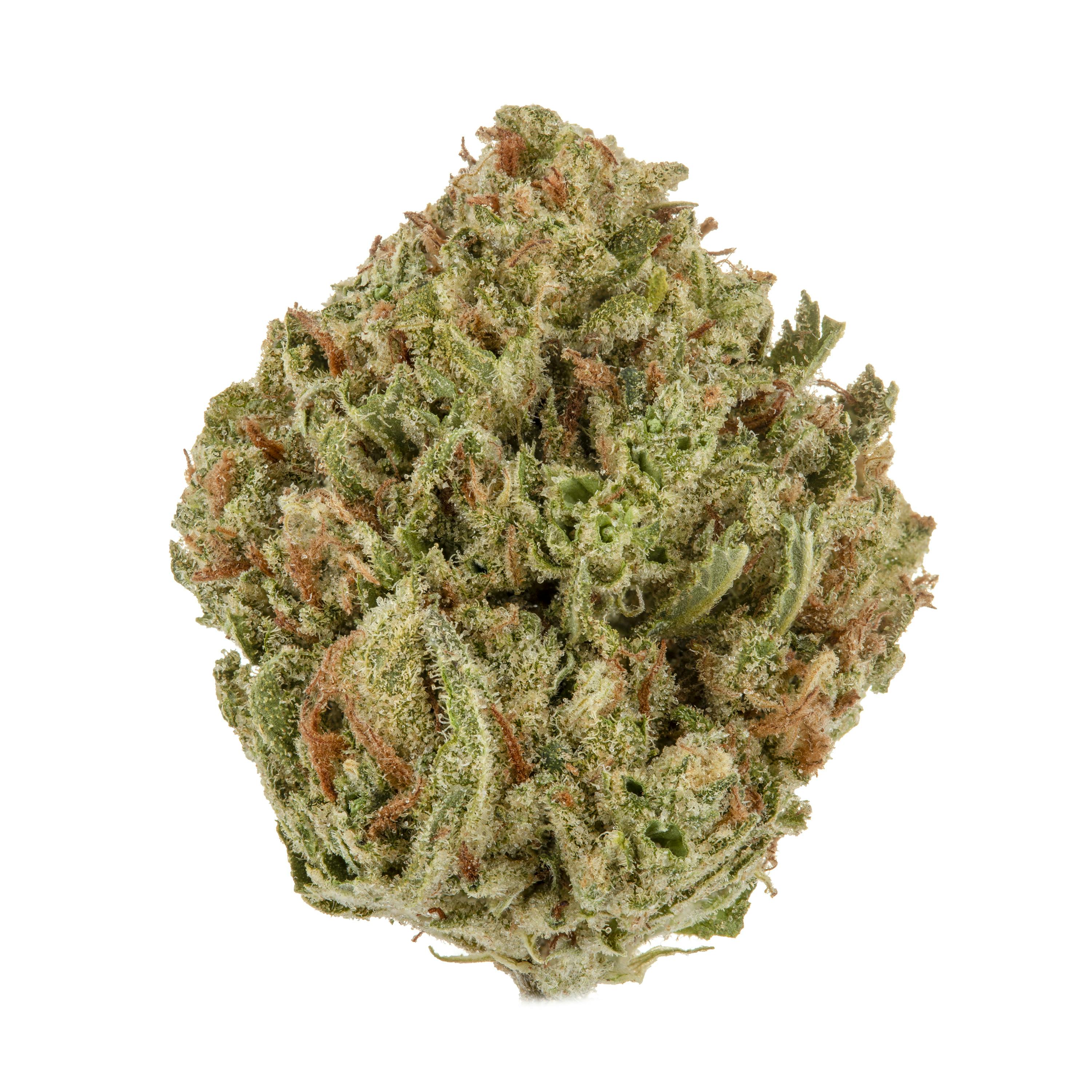 Blue Lime Pie - image 1