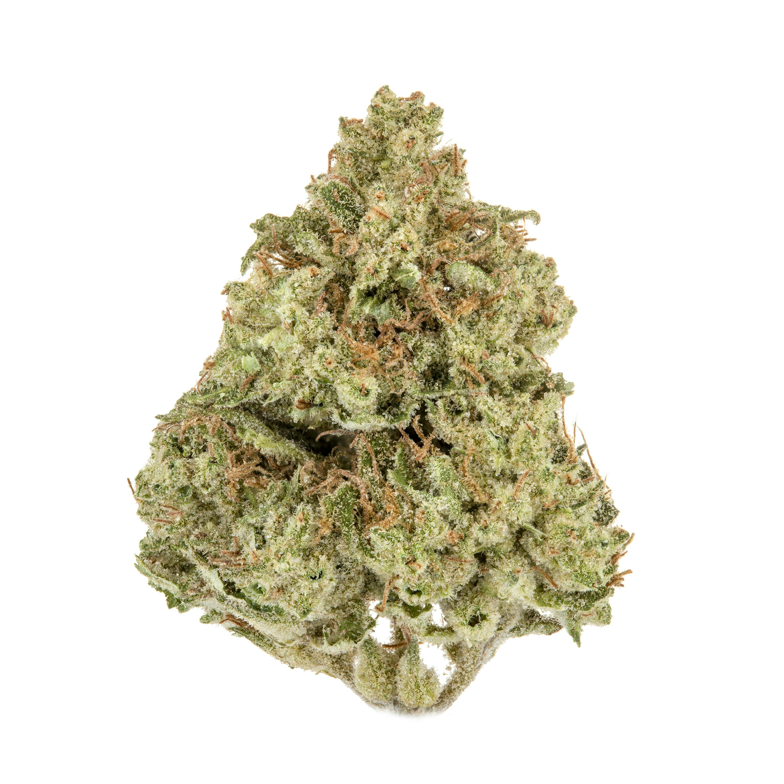 Tangerine Sorbet - image 1
